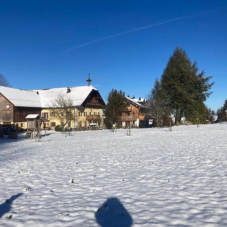 Ferienwohnung Obereggut Hof bei Salzburg Exterior foto