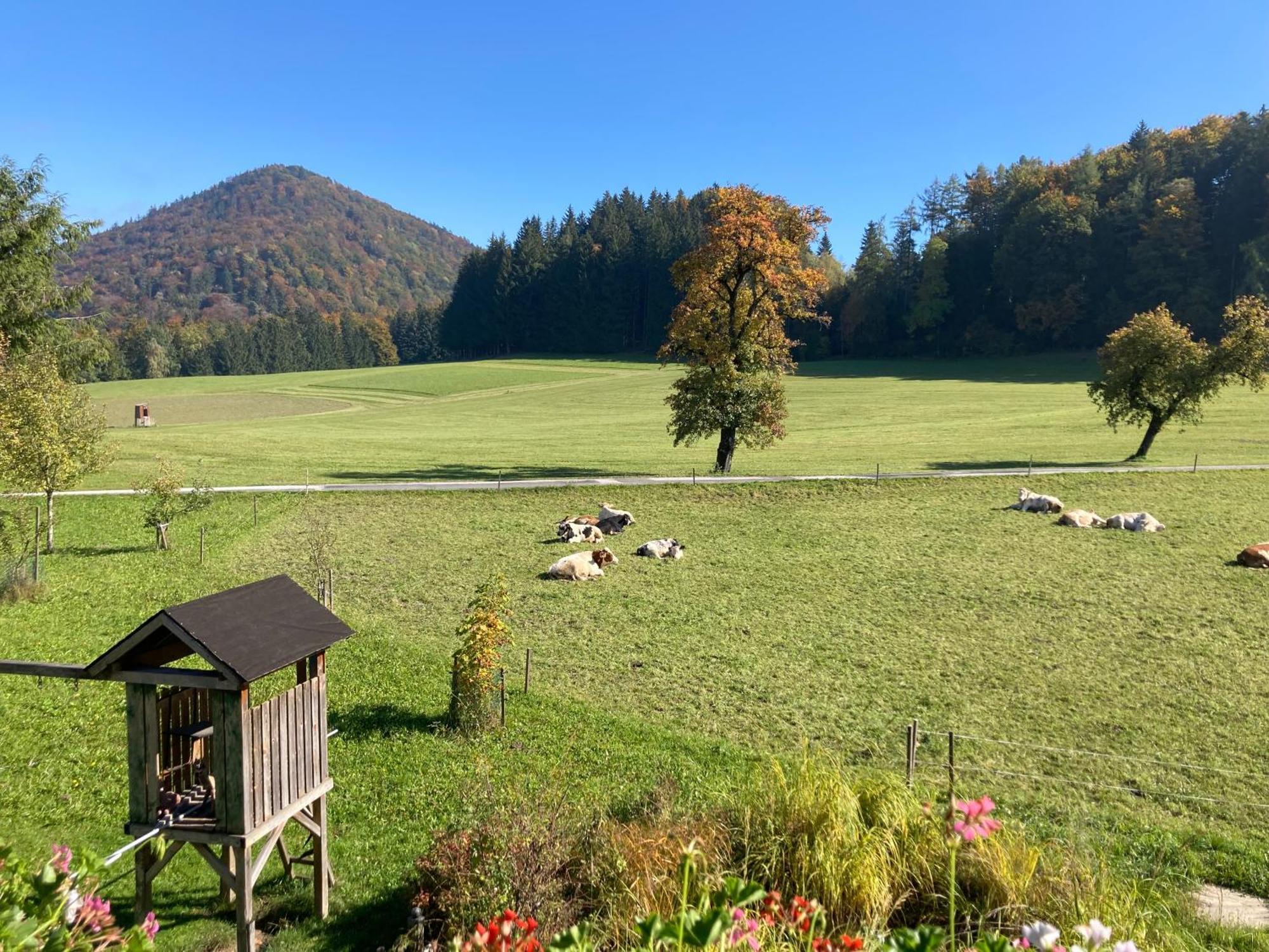 Ferienwohnung Obereggut Hof bei Salzburg Exterior foto