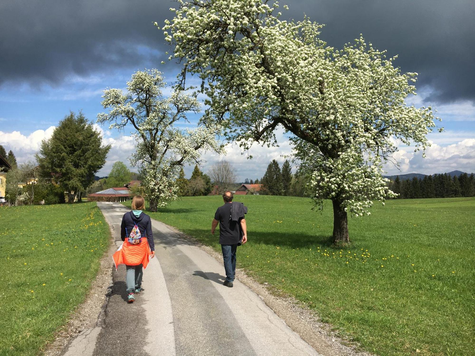 Ferienwohnung Obereggut Hof bei Salzburg Exterior foto