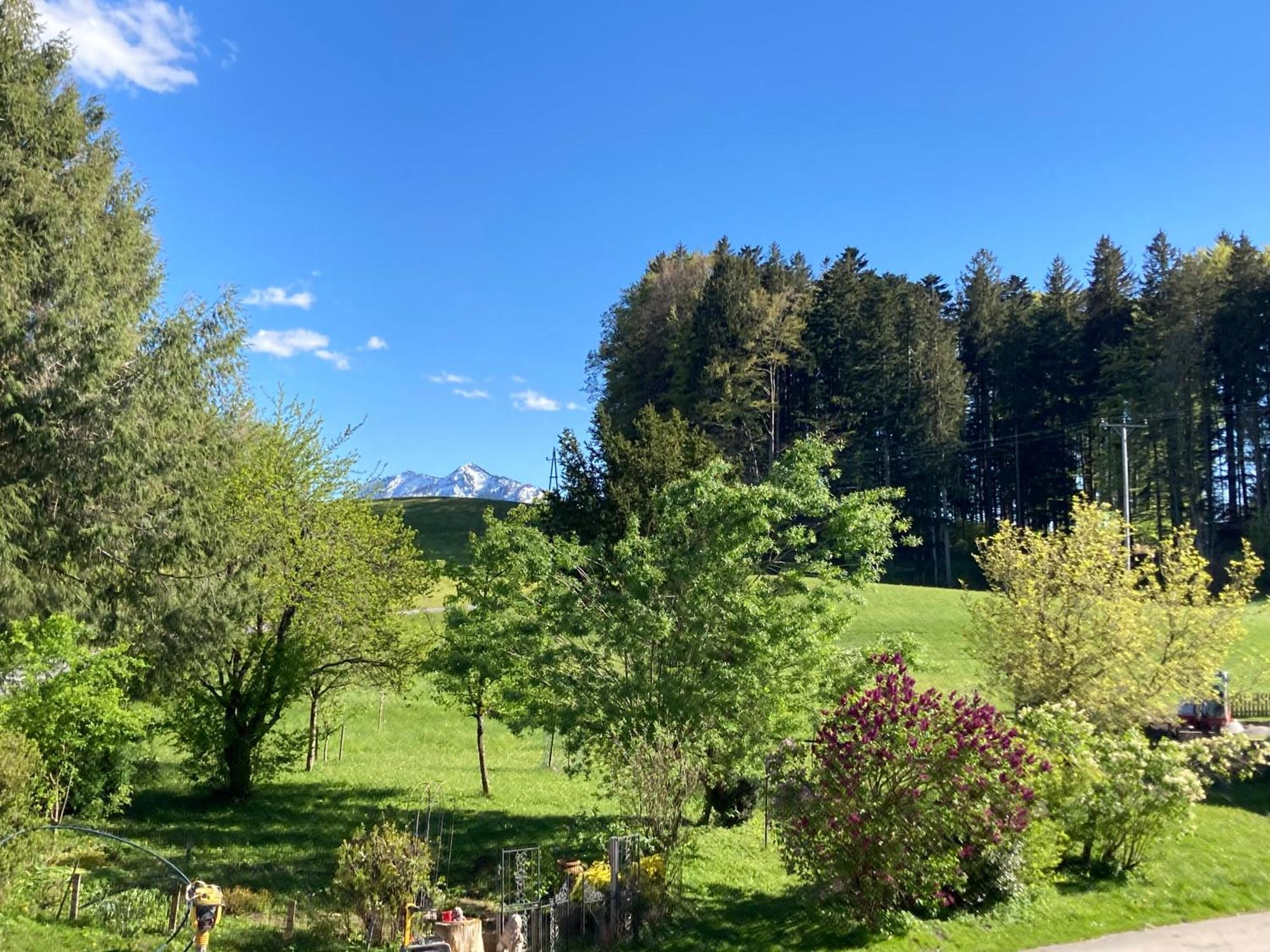 Ferienwohnung Obereggut Hof bei Salzburg Exterior foto