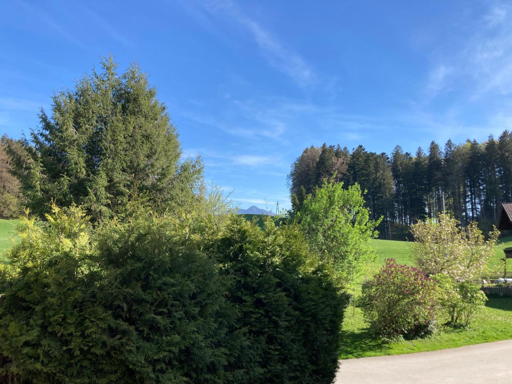 Ferienwohnung Obereggut Hof bei Salzburg Exterior foto
