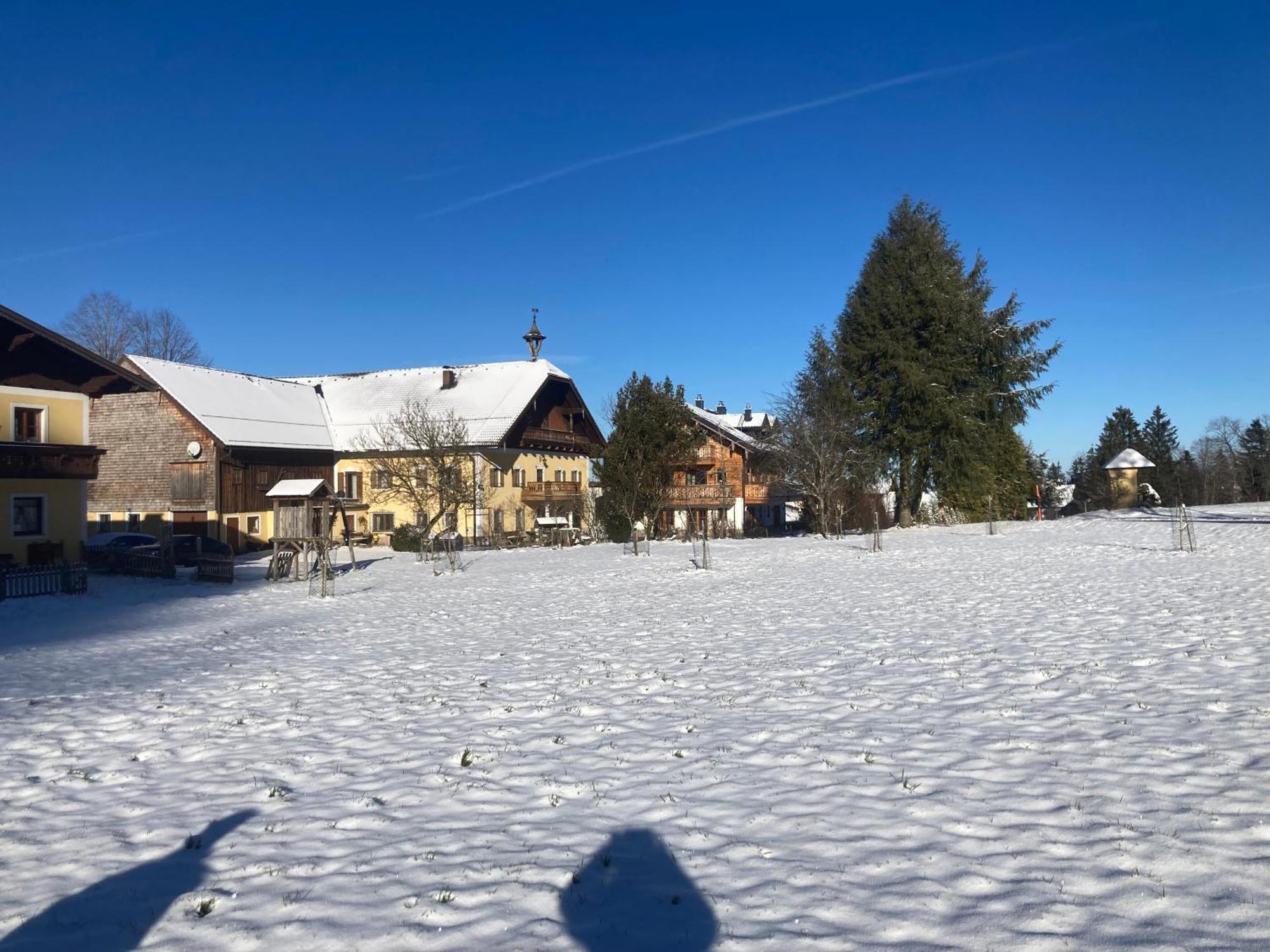 Ferienwohnung Obereggut Hof bei Salzburg Exterior foto