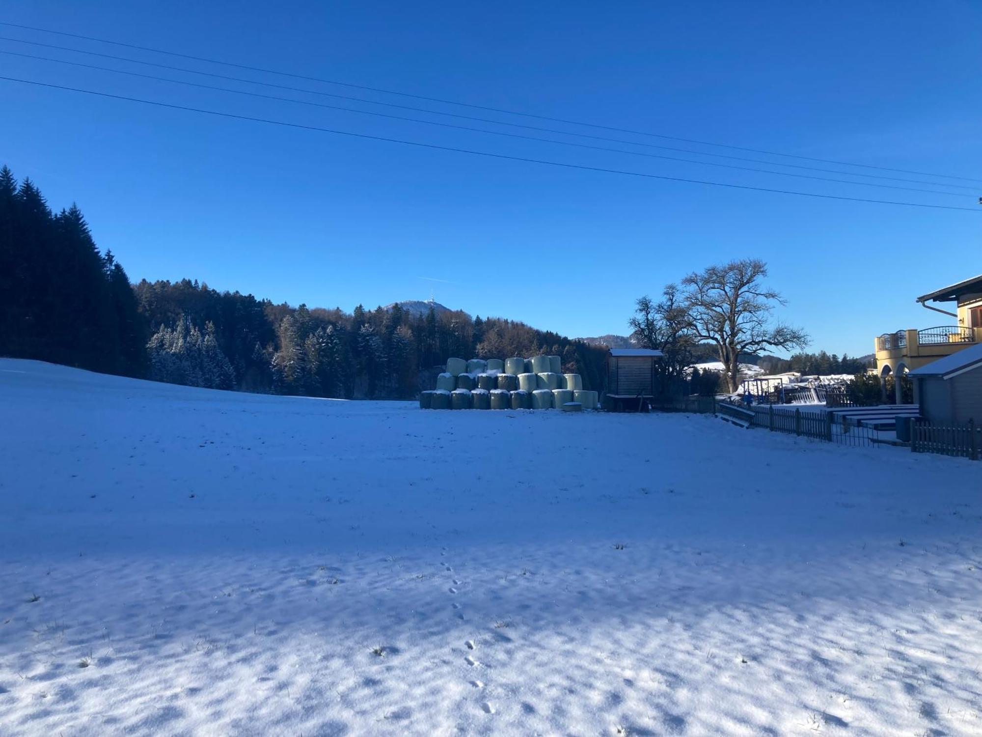 Ferienwohnung Obereggut Hof bei Salzburg Exterior foto